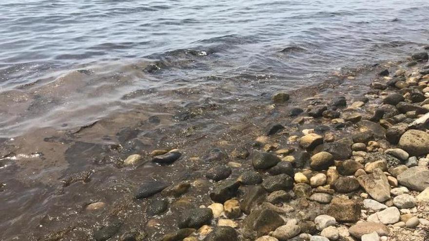 Suciedad en la playa de la Punta del Riu que los vecinos vinculan a los vertidos