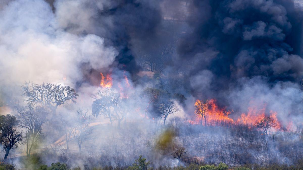 Incendio en el parque nacional de Monfragüe.