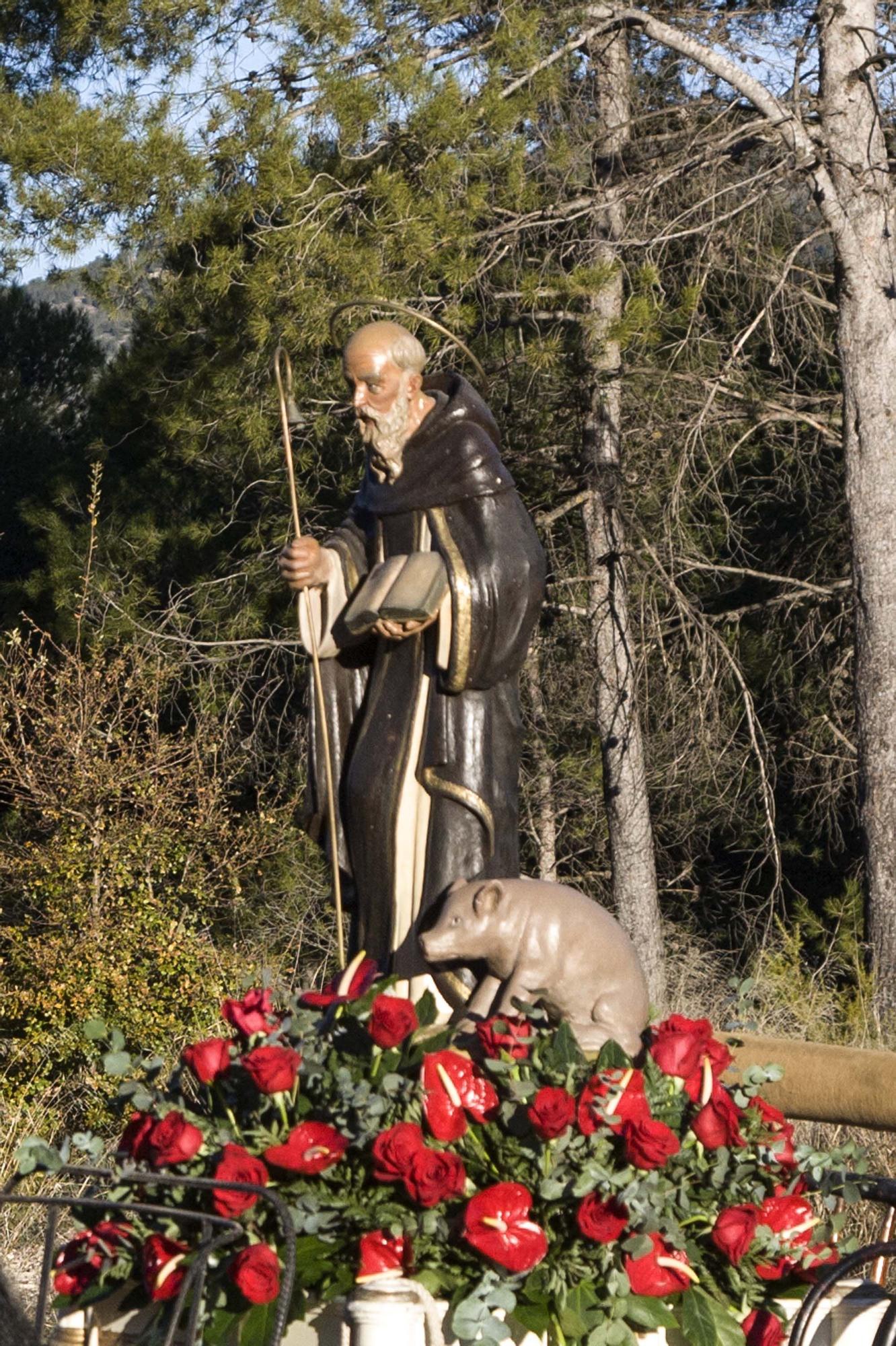 Alcoy vuelve a celebrar la Romería de Sant Antoni