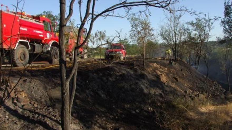 Un incendio en Caudiel obliga a cortar la línea férrea Valencia-Teruel