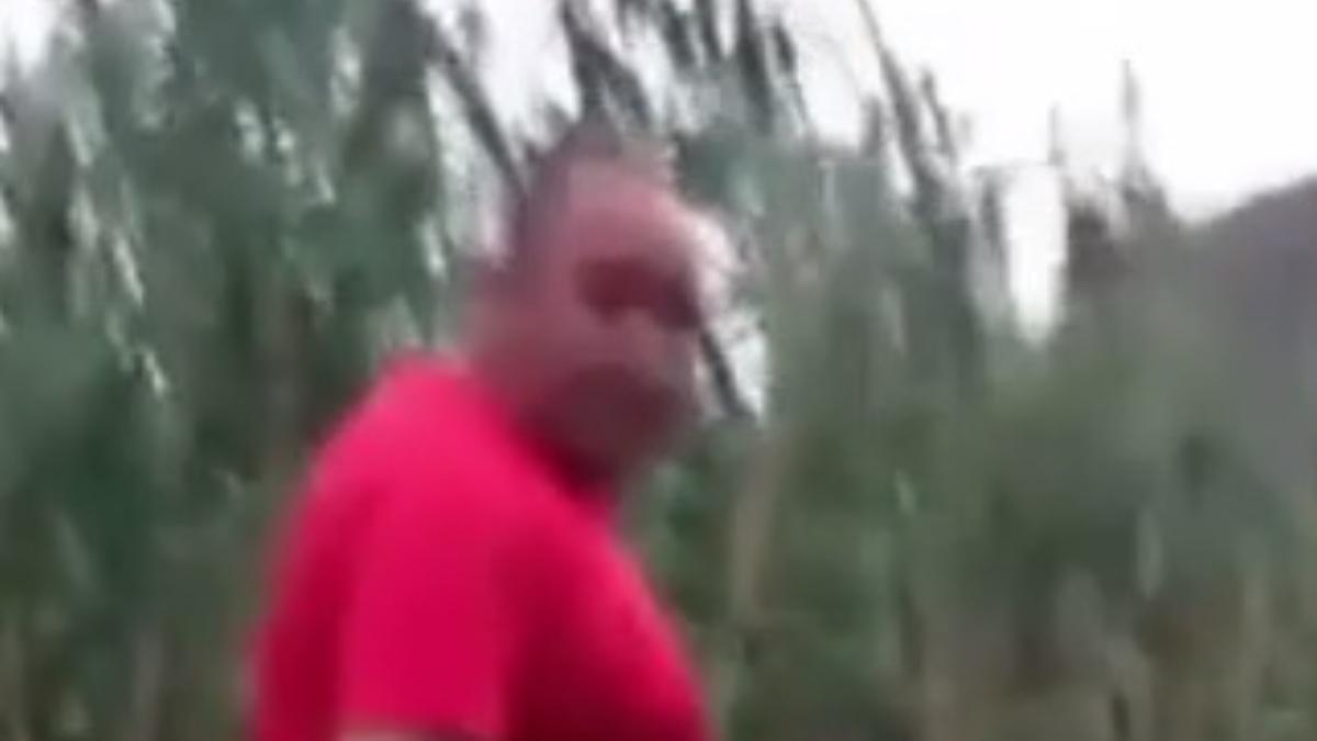 El indignante vídeo en el que un hombre patea a un gato duramente en Canarias