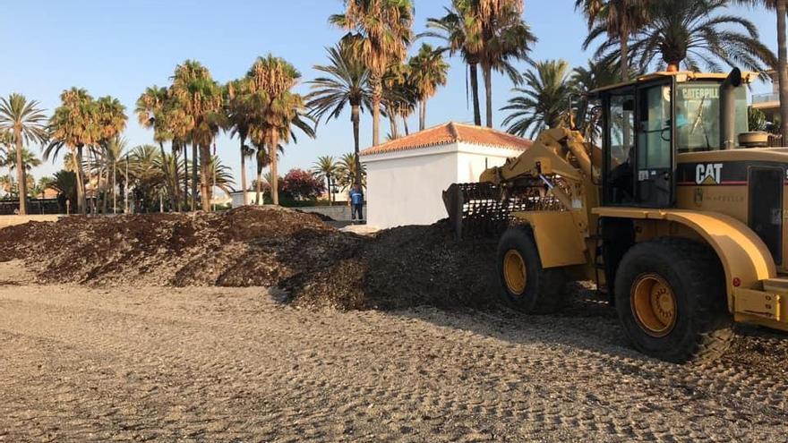 Una grúa retira algas invasoras en una de las playas de Marbella.