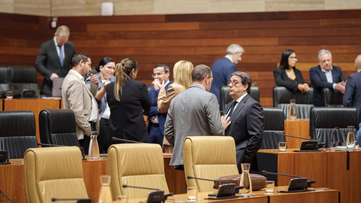Fotogalería | Las imágenes del pleno en la Asamblea de Extremadura