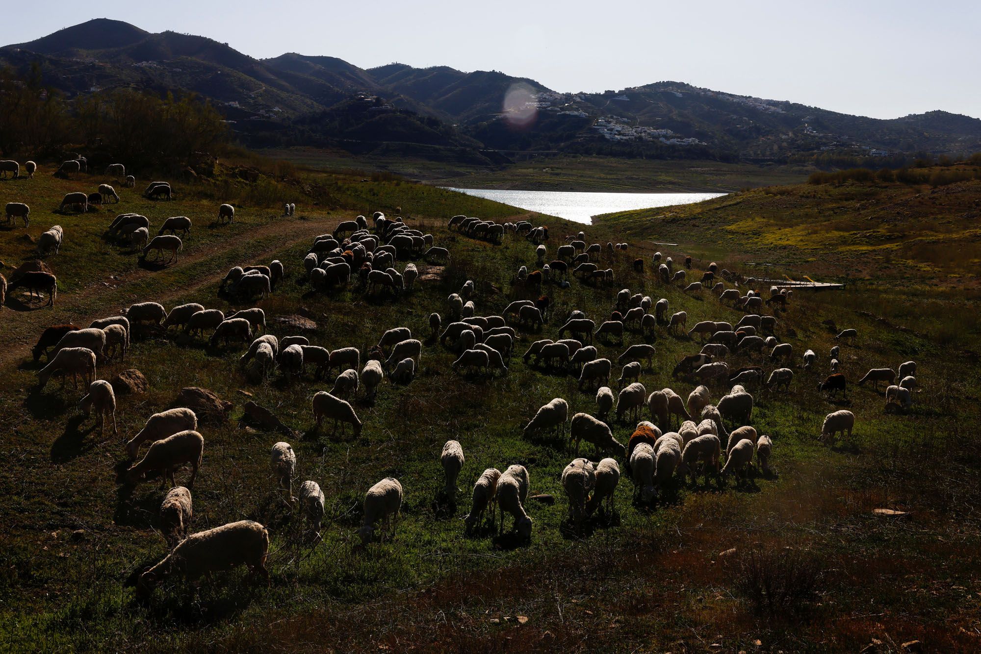 Protesta de ecologistas en el pantano de la Viñuela.