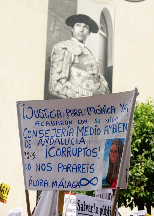 EN SEVILLA,  MANIFESTACIÓN  "POR UNA SANIDAD ...