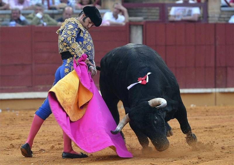 FOTOGALERÍA / FERIA EN LOS CALIFAS