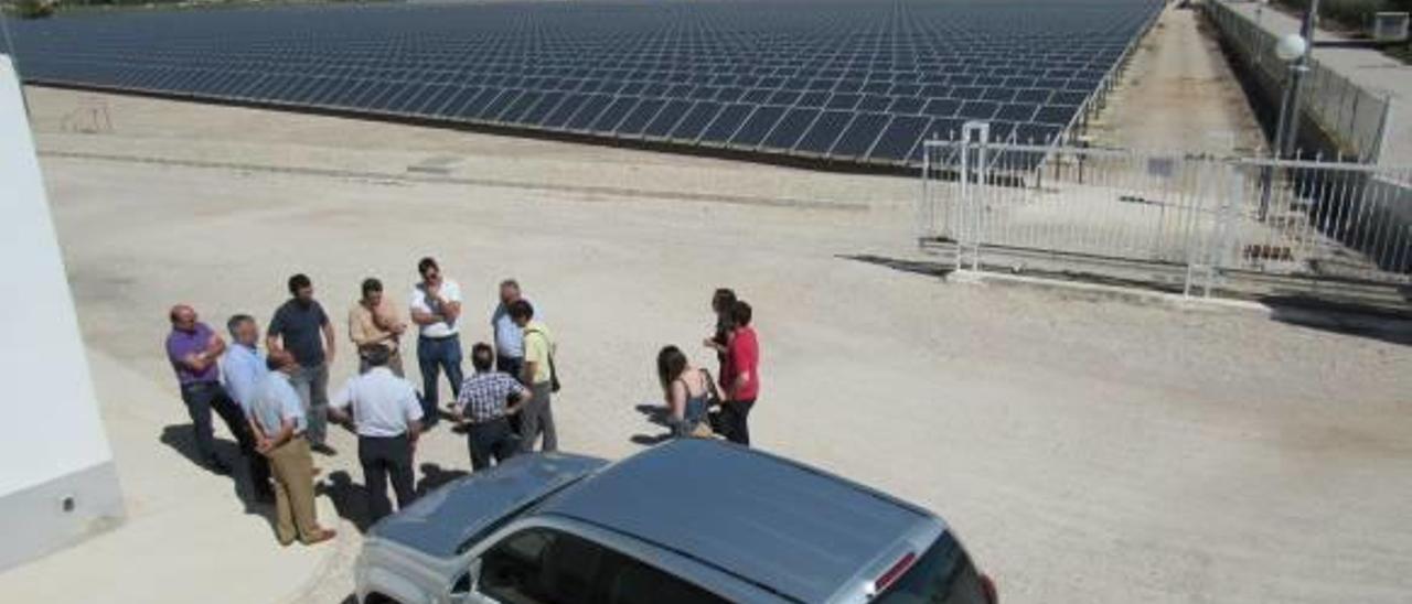 Imagen del huerto de paneles solares de la cooperativa de Crevillent en la zona de El Realengo.