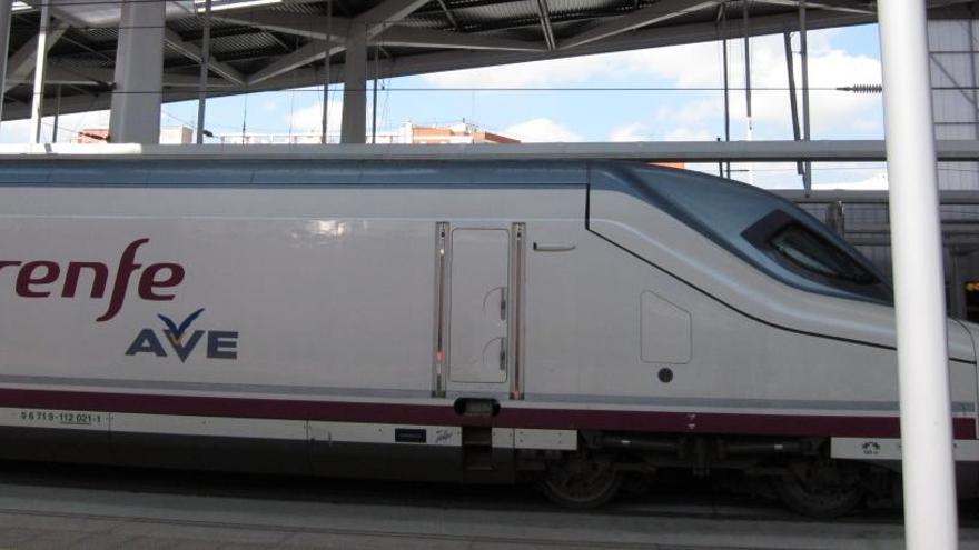 Un ave de Renfe detenido.