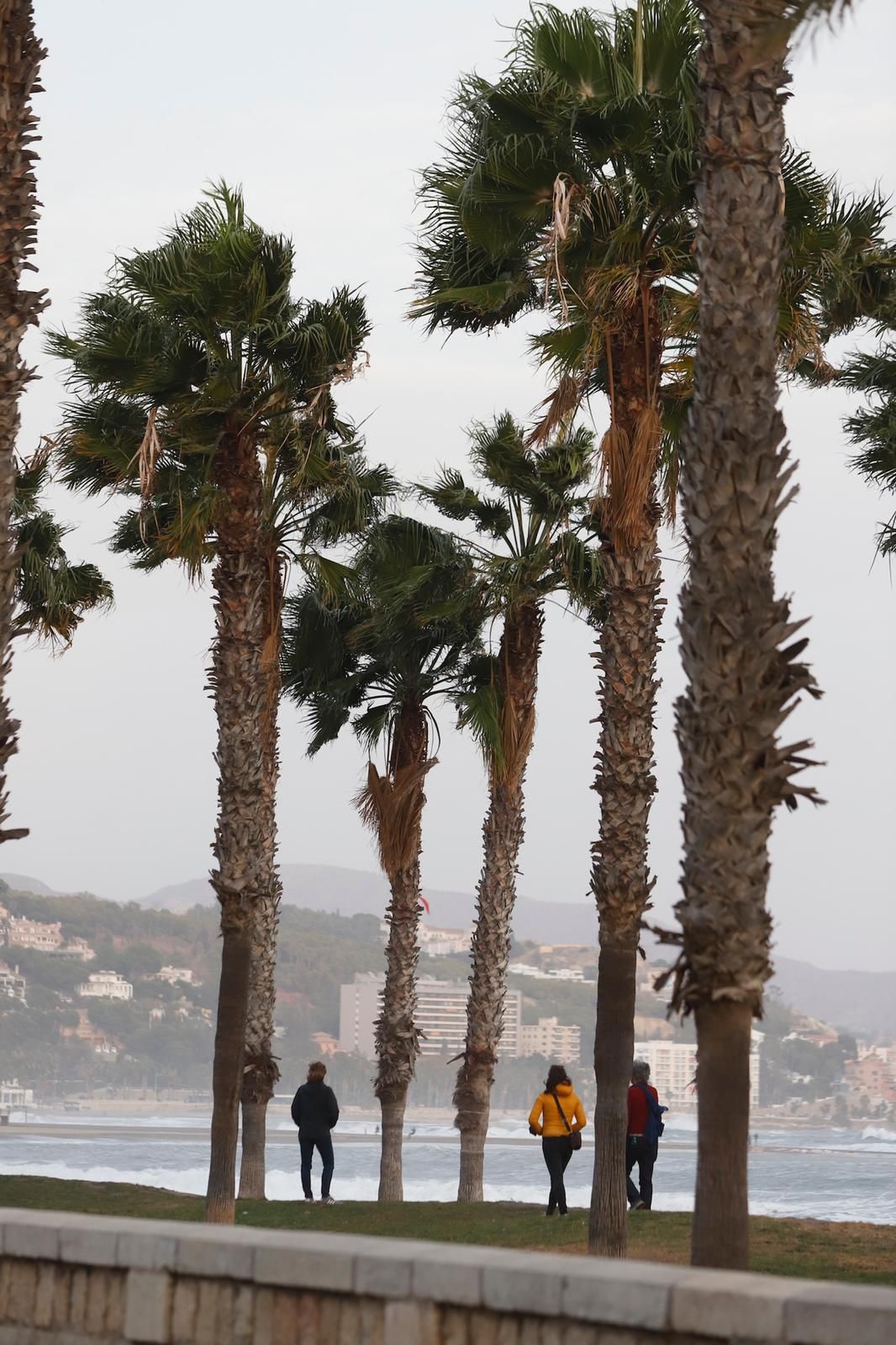 Temporal de viento y olas en la provincia de Málaga