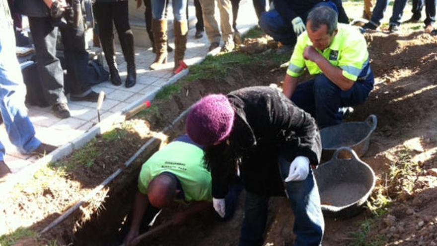 Varios operarios del cementerio municipal de Alicante han comenzado las labores de exhumación