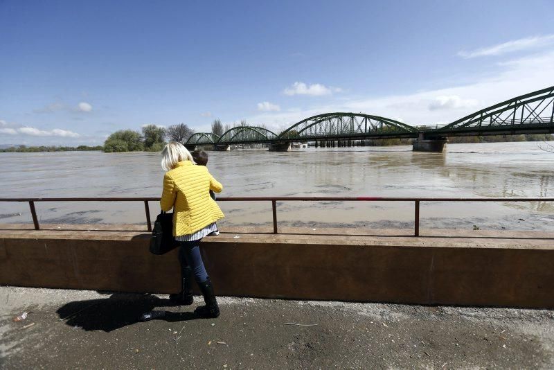 Consecuencias de la crecida del Ebro