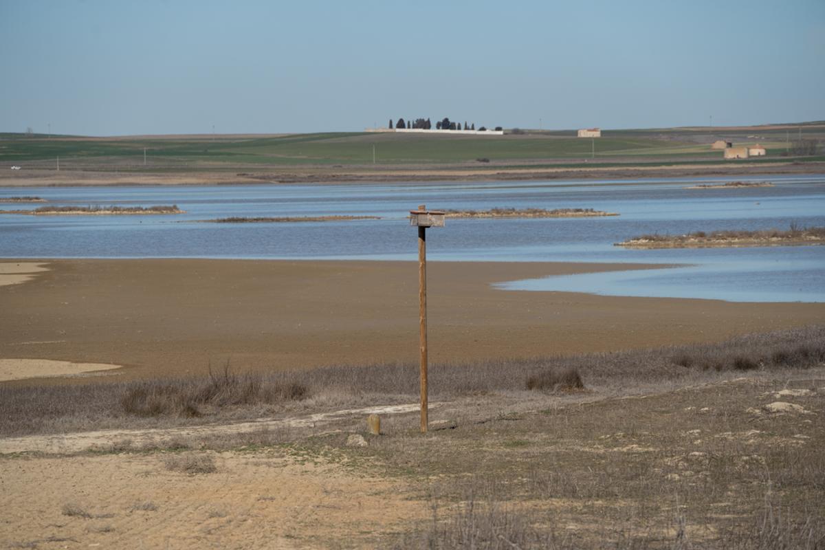 Reserva Natural de las Lagunas de Villafáfila