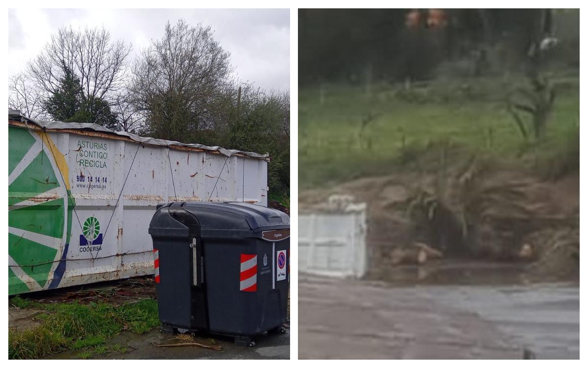 El contenedor cargado, este jueves por la mañana, y a la derecha, los restos de palmeras en el suelo, según la imagen de la denuncia.