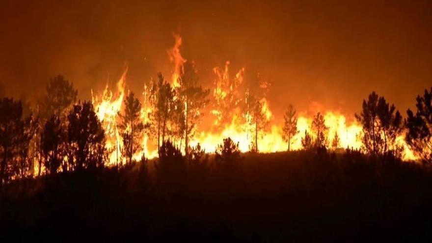 Los incendios de Ourense arrasan más de 1.000 hectáreas