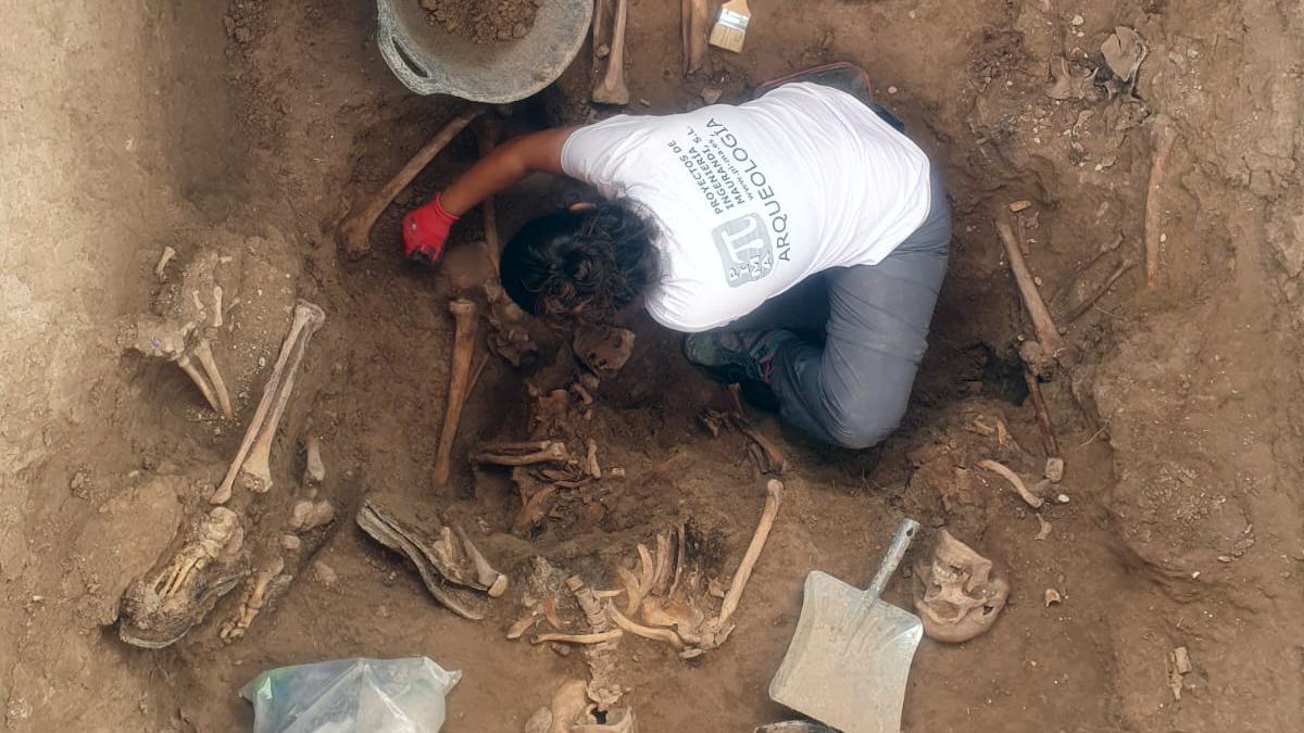 Trabajos de exhumación de los represaliados del franquismo en la fosa XII del Cementerio de Alicante.