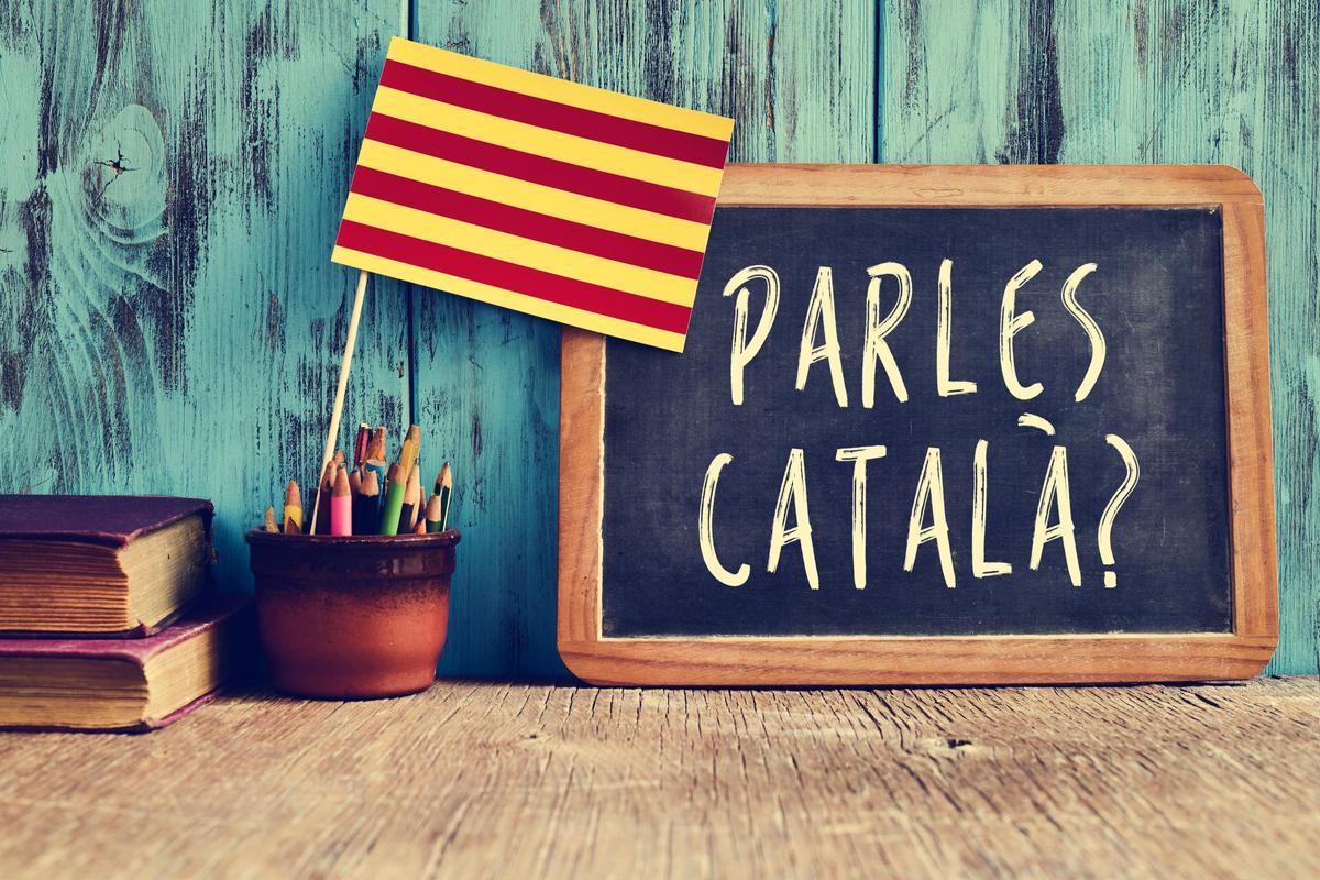 El debate sobre el catalán en las aulas se ha visto avivado en las últimas semanas.