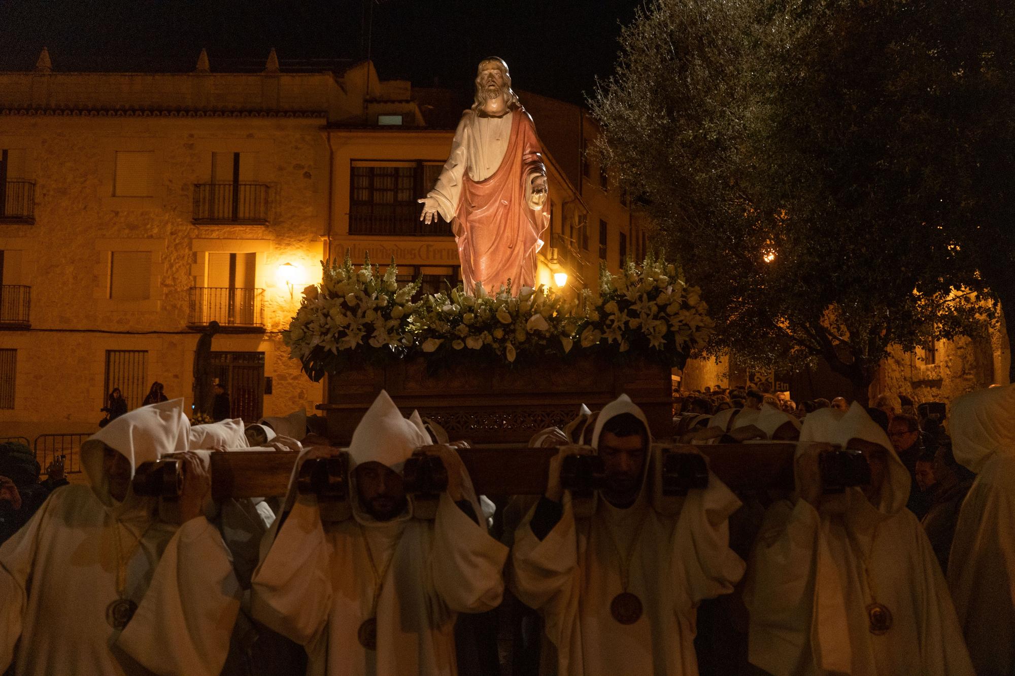 ZAMORA. LUZ Y VIDA