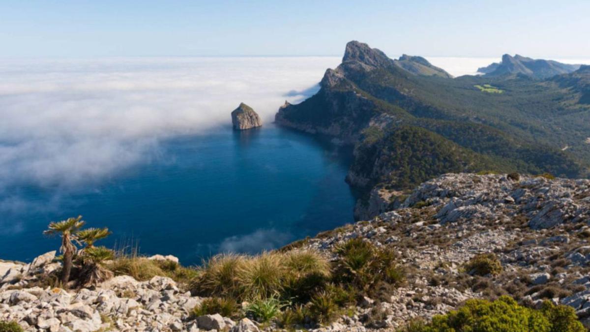 El GOB Mallorca ha elaborado un documento de propuestas sobre conservación de la biodiversidad.