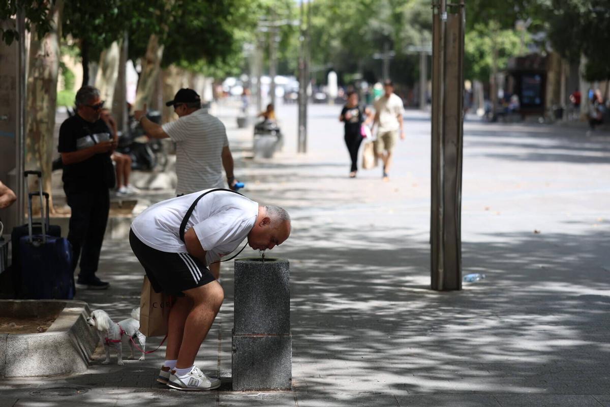 Un hombre bebe en la fuente del bulevar del Gran Capitán.