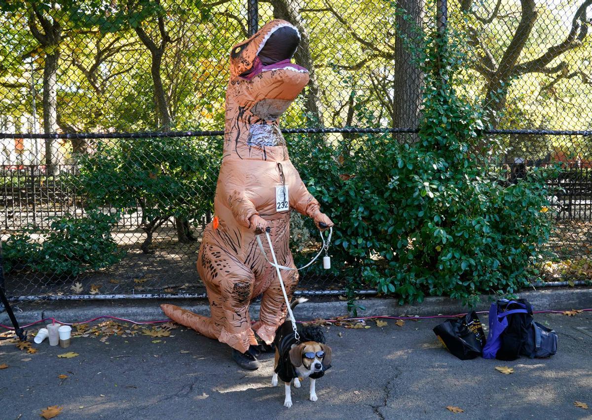 Desfile de disfraces de Halloween para perros en Nueva York