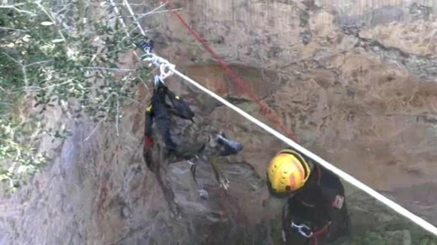 Rescatan a un perro que cayó a un aljibe de 5 metros de profundidad en el Montgó