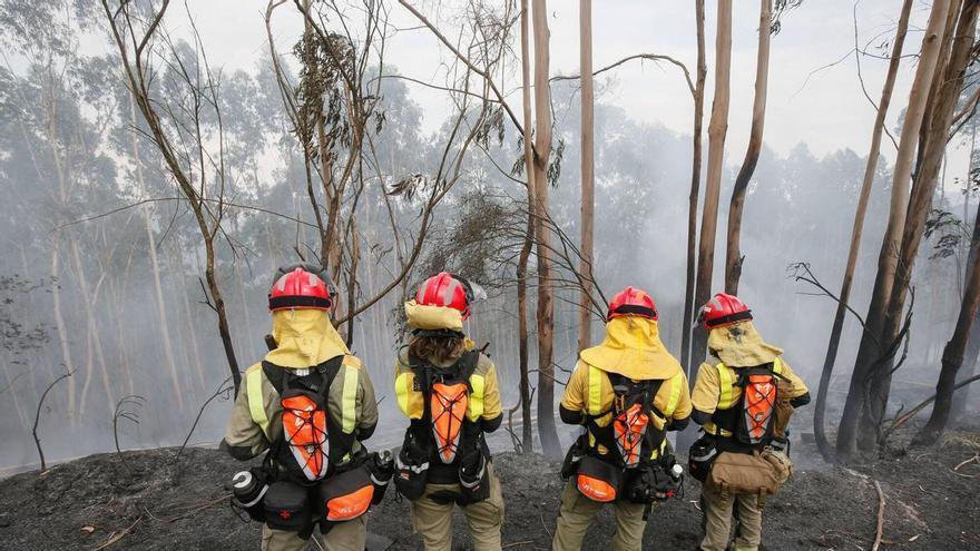 Galicia esquiva, por ahora, la gran ola de incendios: en lo que va de año han ardido 3.500 hectáreas, un 90% menos que en 2025