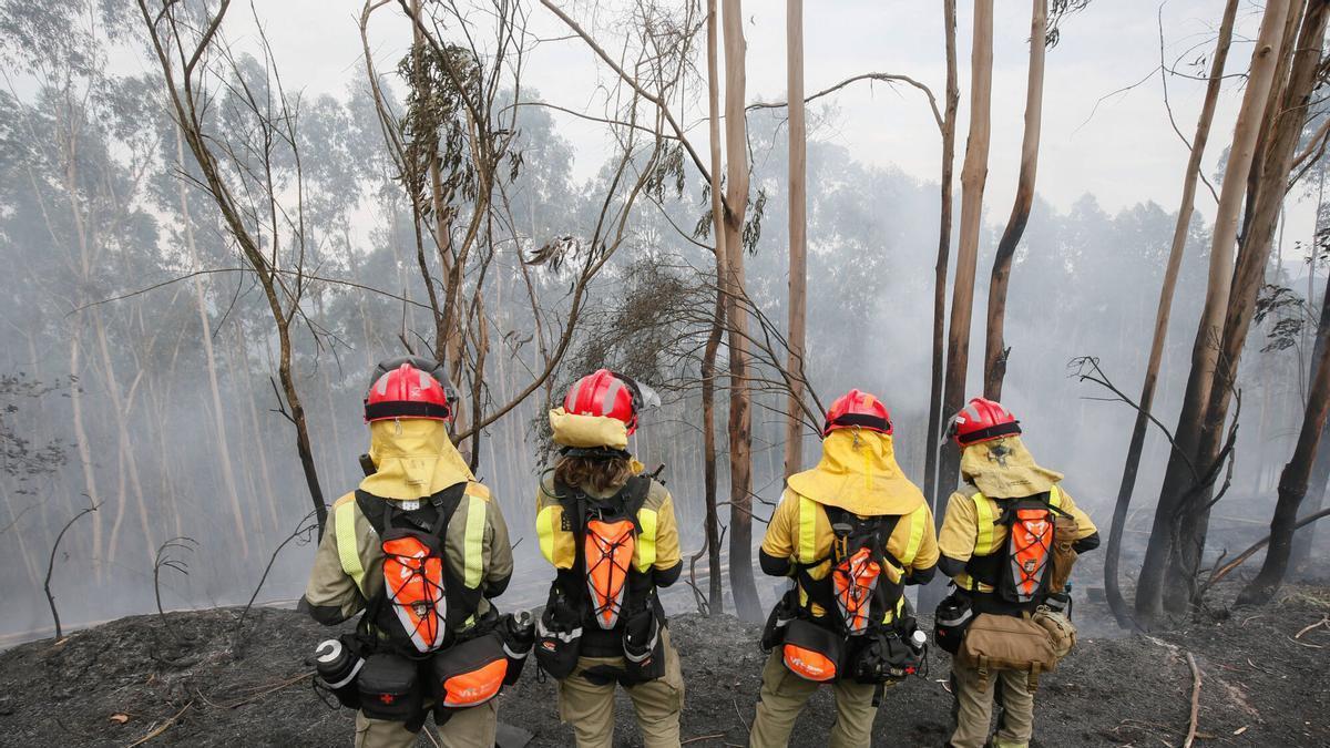 Efectivos de extinción durante el incendio registrado en Ponteareas el pasado abril.