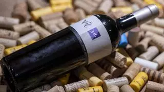 VIDEOCATA | Vd'O 3.16 Syrah-Sorra, un tinto del Empordà "sedoso"