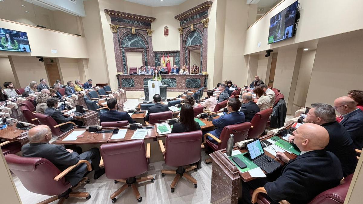 Pleno de la Asamblea Regional.