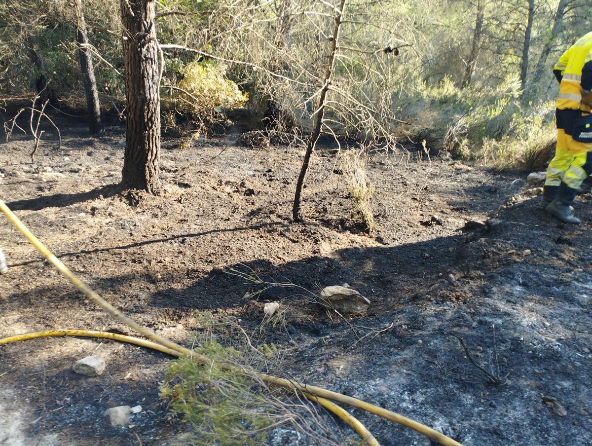 Ha ardido un pequeño rodal y se ha logrado apagar el fuego rápidamente