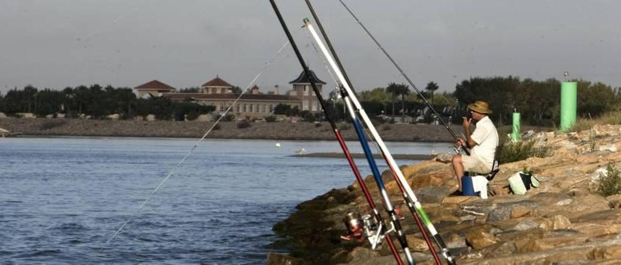 La desembocadura del río Segura en la que se ha producido el hallazgo