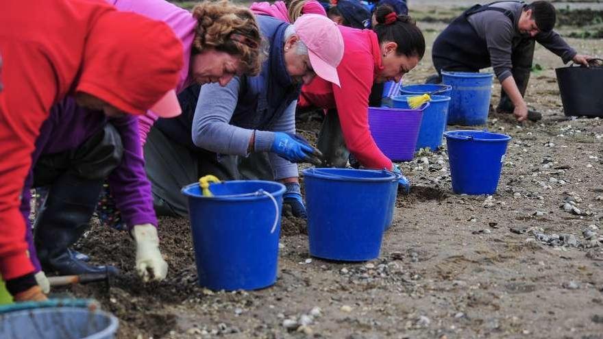 El marisqueo a pie aglutina a más de 3.700 trabajadores en Galicia, el 70% mujeres. // Iñaki Abella