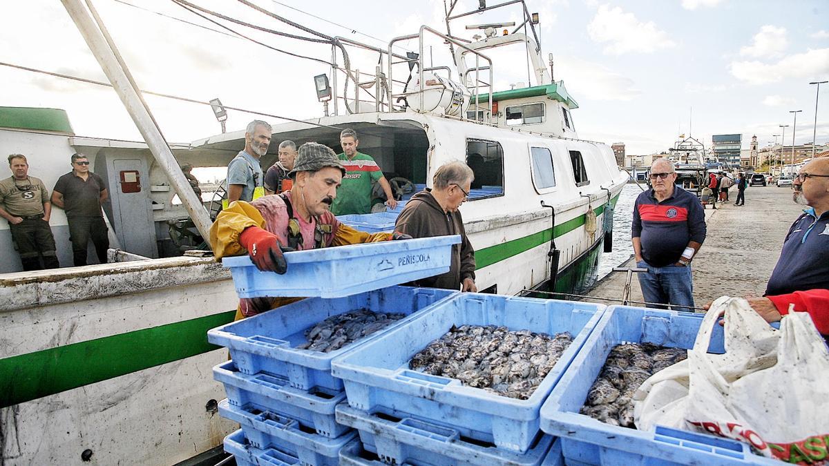 Pescadores descargan mercancía en el puerto de Castellón.