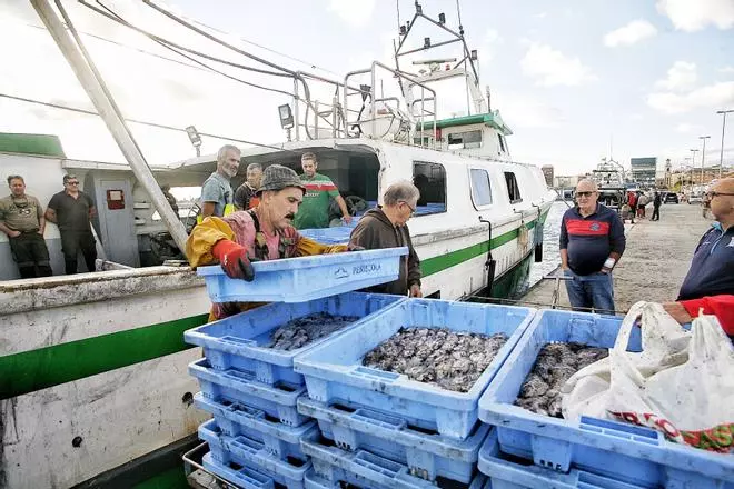 Vídeo: La Diputación fomenta el consumo del pescado de Castellón