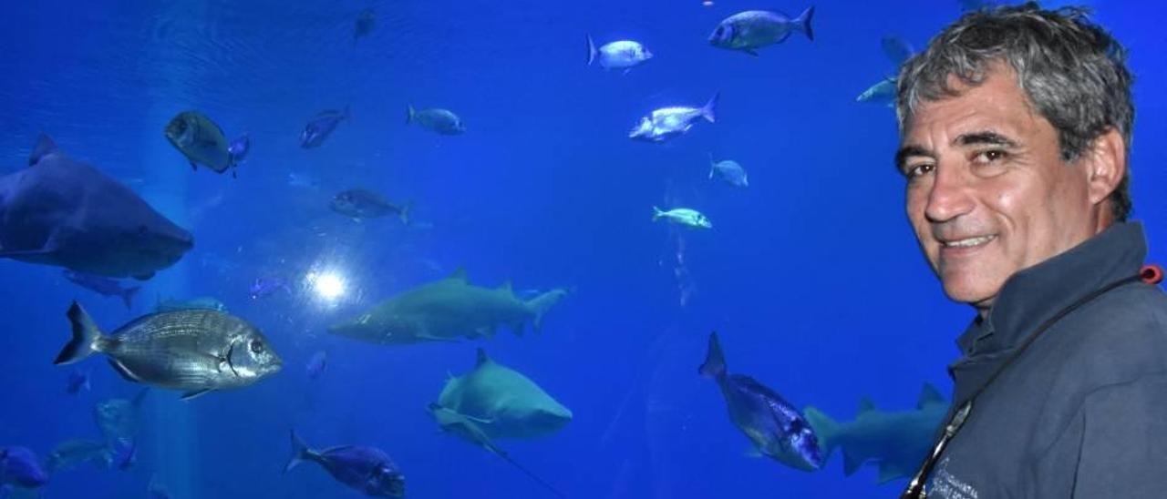 Eric Clua, ayer, junto al estanque de tiburones del Palma Aquarium.