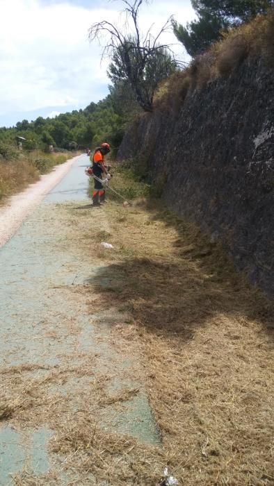 Nueva brigada forestal de Alcoy