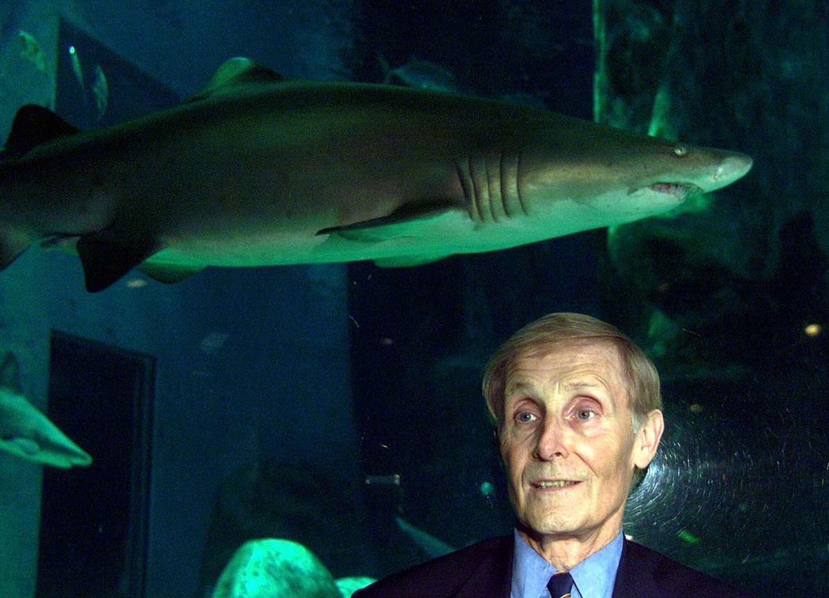 AP --06/07/00-LONDON- Author of 'Jaws', Peter Benchley, pictured in front of one of the large tanks at the London Aquarium Wednesday, July 5, 2000. Benchley joined a conservation group Thursday to call for international restrictions on the shark fishing industry. According to the San Francisco-based organisation WildAid, over 100 million sharks are killed each year by industrial practices that are leading to extinction. (AP Photo) --UNITED KINGDOM OUT. NO MAGAZINES. NO SALES--