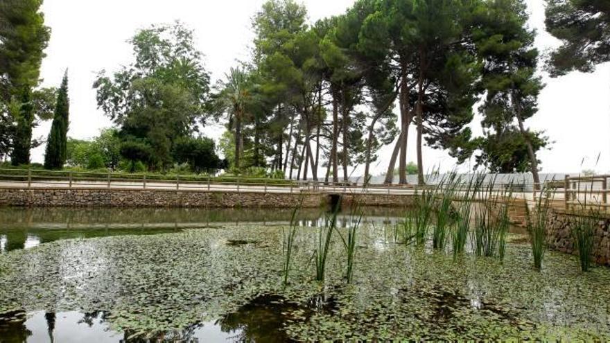 El agua de la Font se planea usar  de nuevo para consumo humano