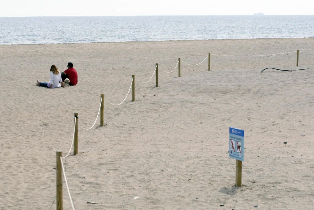 Platja per gossos