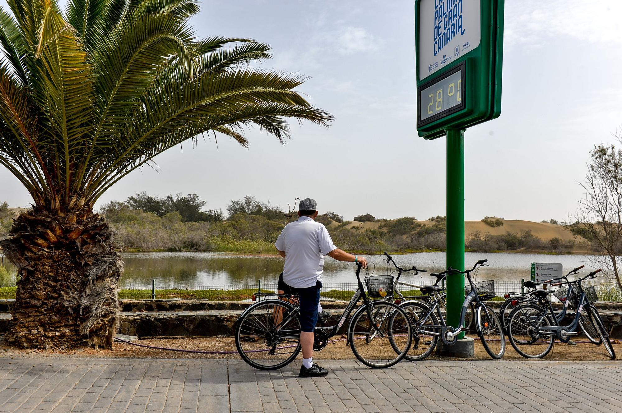 La Charca de Maspalomas después del ciclón Hermine