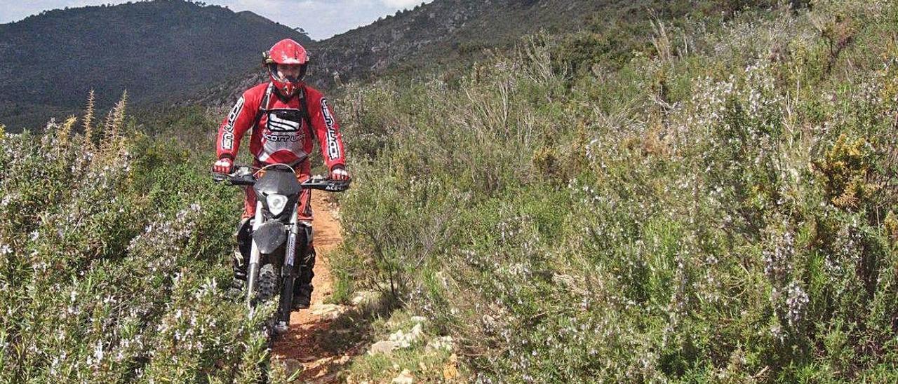 Ecologistas denuncian la presencia de motos que destrozan sendas forestales