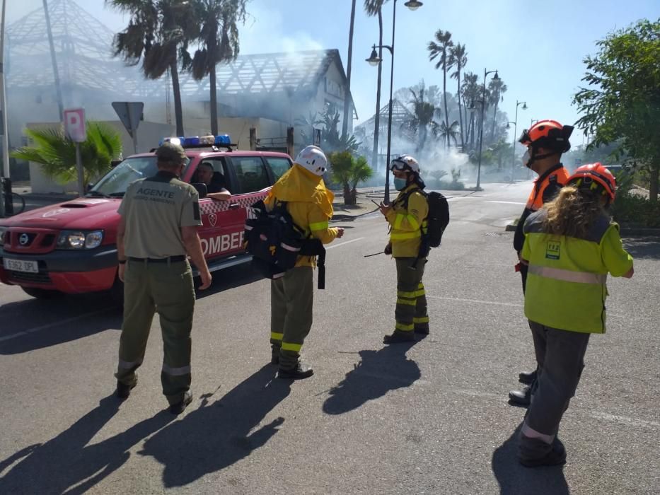 Efectivos del Infoca y del Consorcio Provincial de Bomberos, en Estepona.