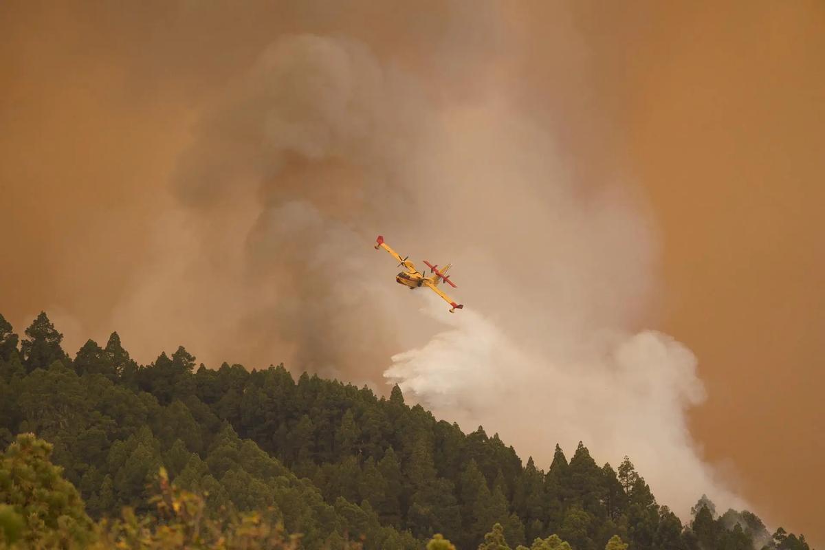 Un hidroavión en labores de extinción de un incendio forestal en el municipio tinerfeño de El Rosario.