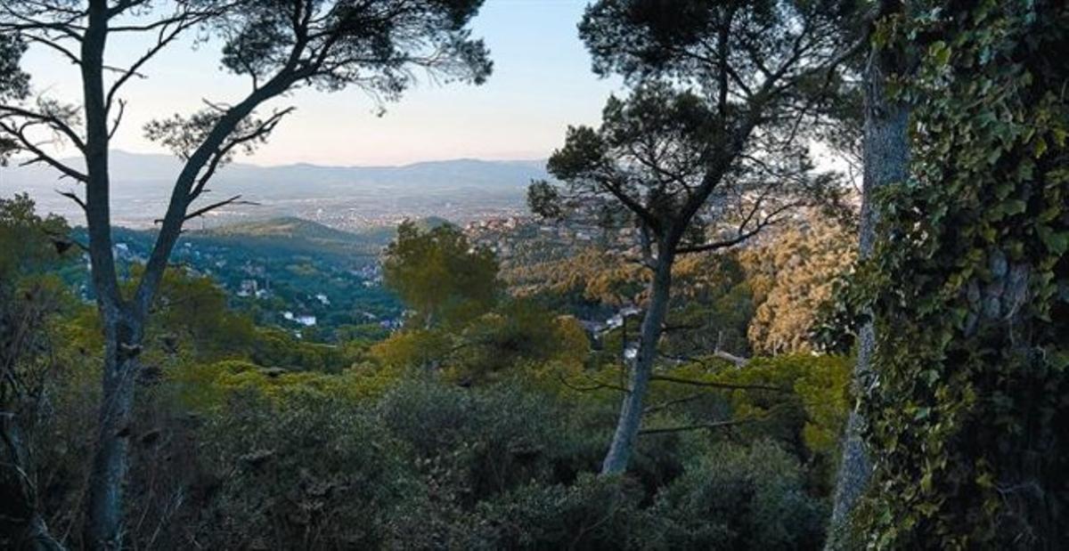 Una imatge des de la Serralada del Litoral, que ha guanyat 2.700 hectàrees de zona protegida.