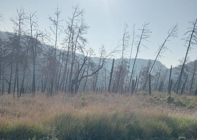 Así está Puebla de Arenoso, pueblo donde se quemaron más hectáreas, tres años después del incendio