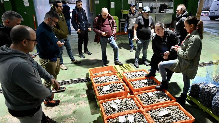 La zona de pesca de Pontevedra incrementa su relevancia en Galicia en un 10 por ciento