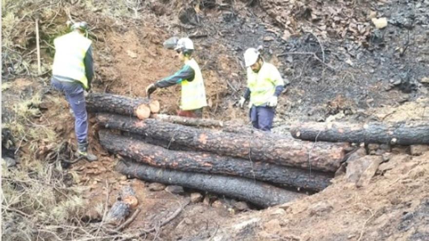 La CHT trabaja para recuperar los cauces afectados por el incendio de Las Hurdes