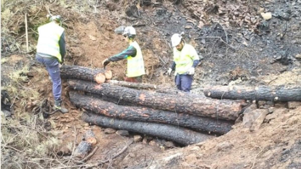 Trabajadores de la Confederación, en la zona afectada por el incendio.