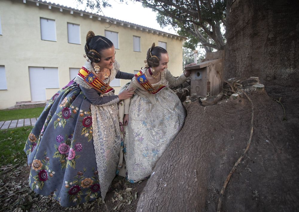 Paseamos con las Falleras Mayores de Sagunt, Núria Bueno y Carla Boix, en los jardines de la Gerencia.