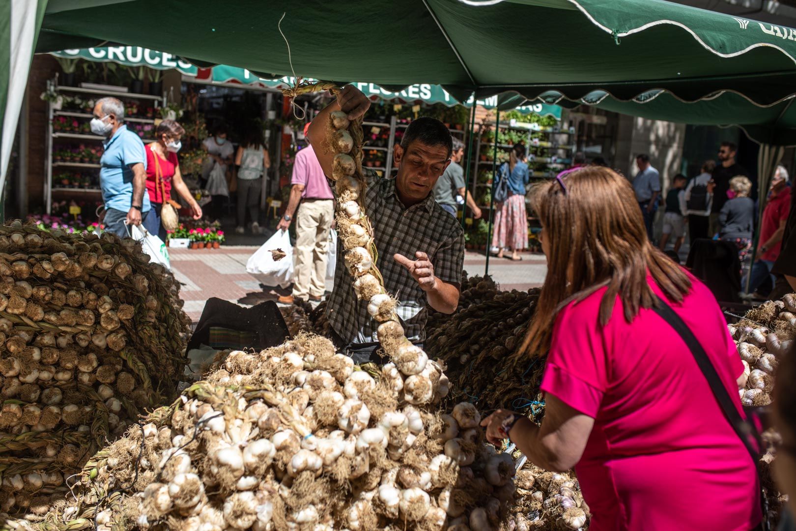 GALERÍA | Las mejores imágenes de la Feria del Ajo de Zamora